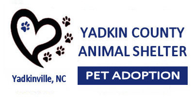 YC Animal Shelter, Yadkinville, NC